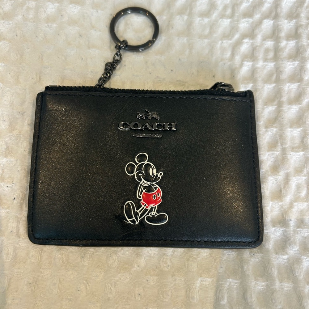 Disney coach ID case